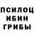 Псилоцибиновые грибы прущие грибы Ricardo Alonso