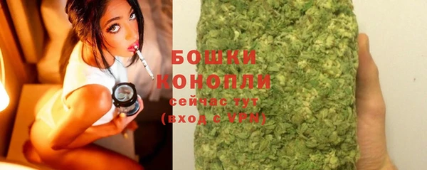 шишки Новодвинск