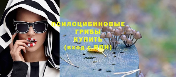 шишки Новодвинск