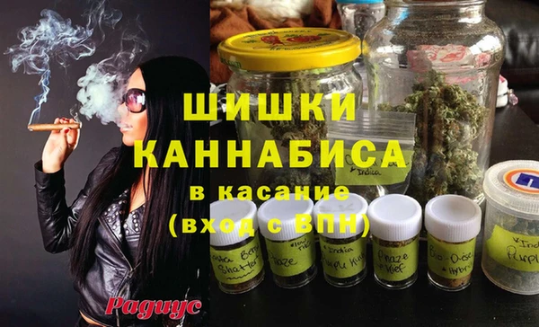 прущие крисы Новозыбков