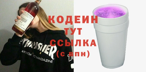 шишки Новодвинск