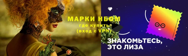 прущие крисы Новозыбков