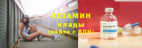 шишки Новодвинск