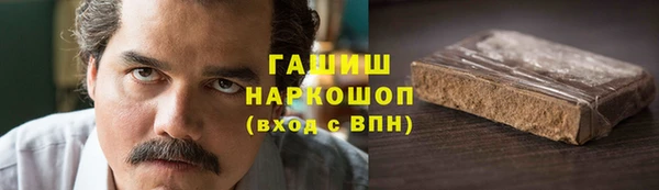 шишки Новодвинск