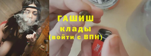 прущие крисы Новозыбков