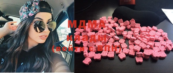 шишки Новодвинск