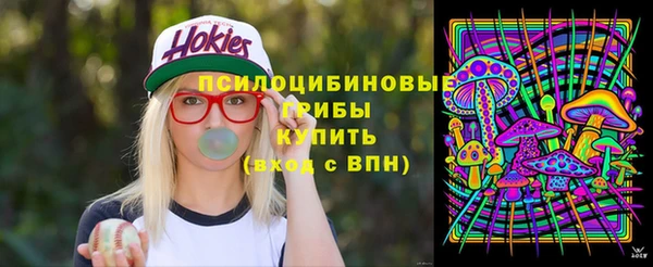 мяу мяу мука Няндома