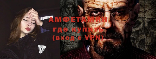 шишки Новодвинск